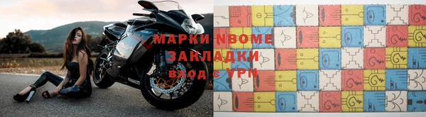 прущие грибы Сафоново