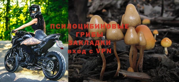 винт Алексеевка