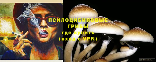 винт Алексеевка
