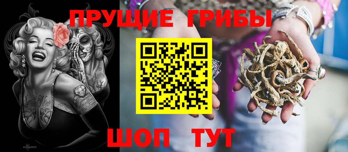 Галлюциногенные грибы GOLDEN TEACHER  Вход с VPN  Галлюциногенные грибы Psilocybe  Краснотурьинск 